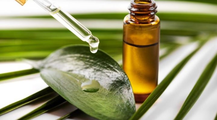 Tea Tree Oil Key Benefits of Using it in Hair