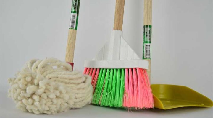 8 Most Effective Cleaning Hacks for a Pet-Friendly Home