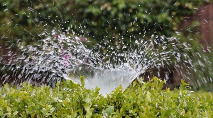 About the Irrigation System and Irrigation Supplies