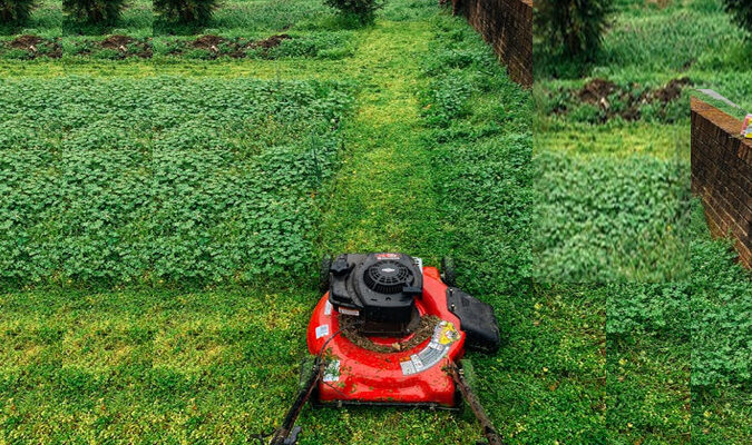Is It Worth Repairing A Lawn Mower