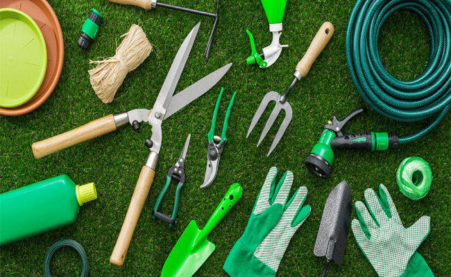 The 3 Essential Lawn Tips When You Live In An Arid Area