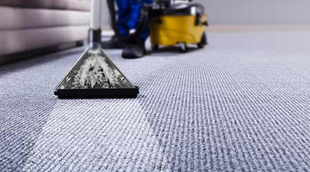 5 Carpet Care and Maintenance Tips You Need to Know