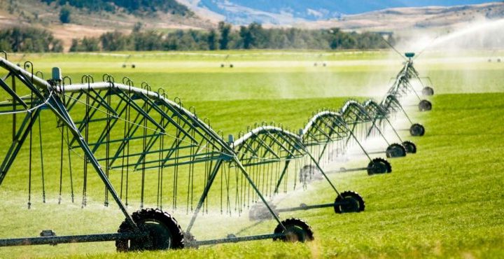 Sprinkler vs. Drip Irrigation