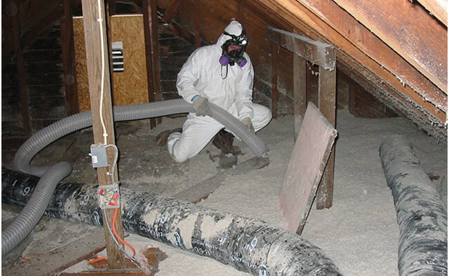 Tips for Hiring the Best San Diego Mold Removal and Restoration Company