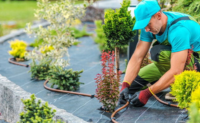 The Do’s And Don’ts Of Landscape Irrigation