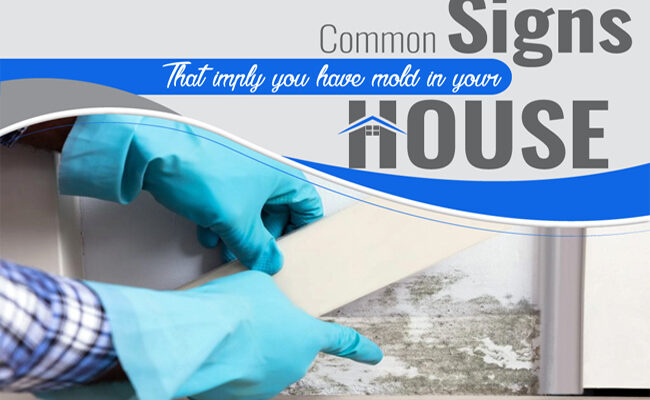 Common Signs That Imply You Have Mold in Your House