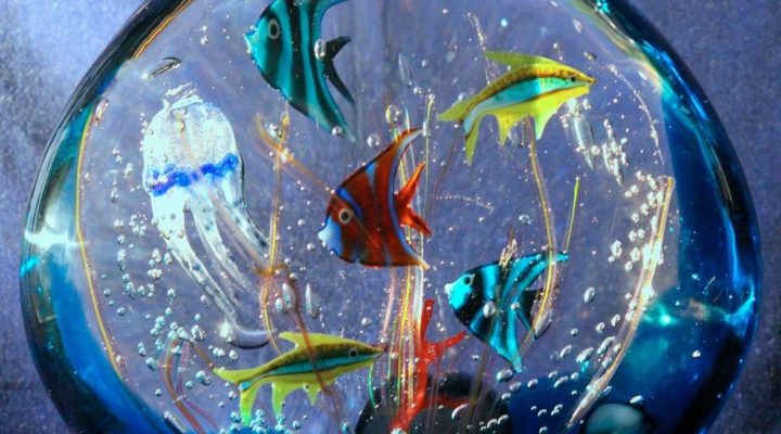 The attraction of Murano Glass Aquariums