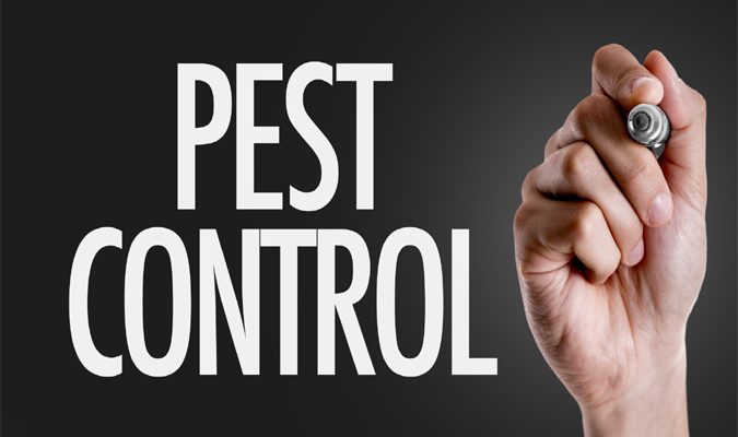 5 Natural Ways To Repel Common Household Pests