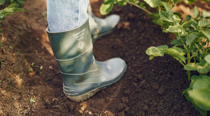 garden work boots