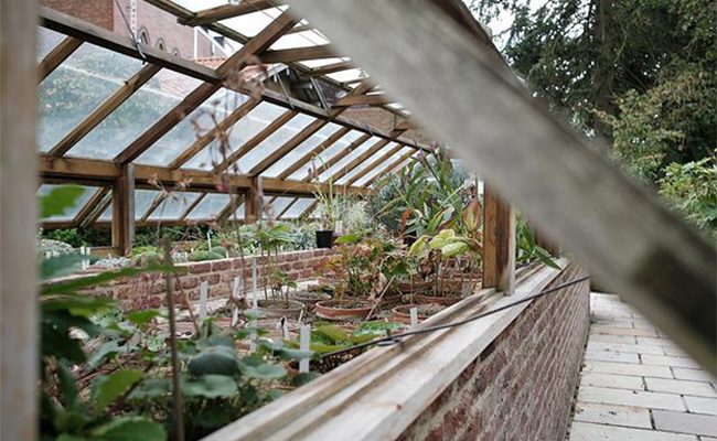 Where Should Your Greenhouse Construction Be Situated