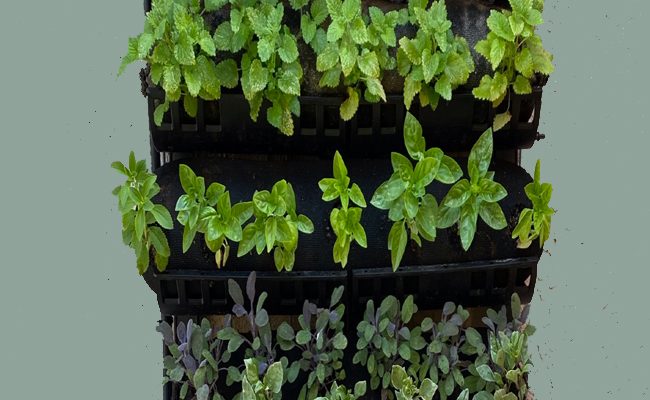 invest in an outdoor vertical farming system