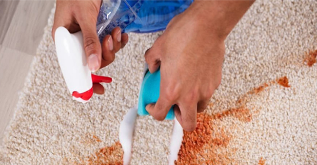 shaving cream on the carpet