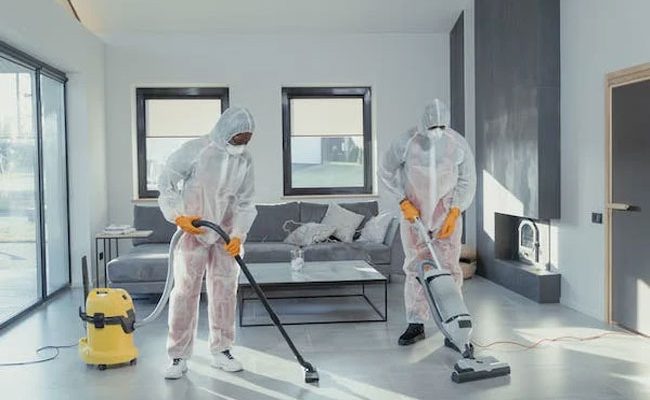 Vacuum Cleaners 101: Different Types and Their Benefits