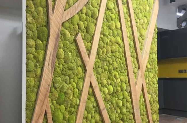 Creating Successful Moss Wall Art