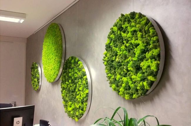 Ideas For Incorporating Moss Wall Art