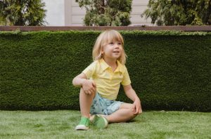 commercial lawn care in Edmonton