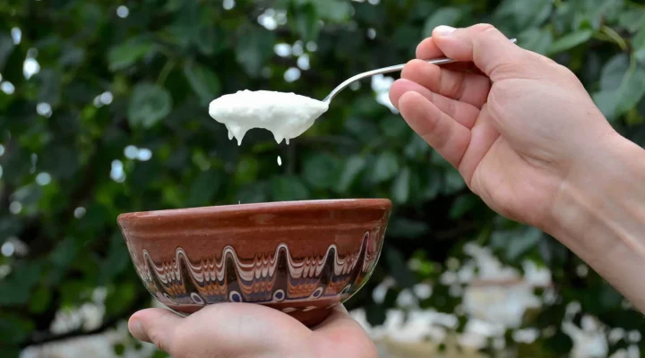 how to make bulgarian yogurt at home