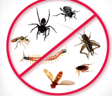 Malaysian Pest Control