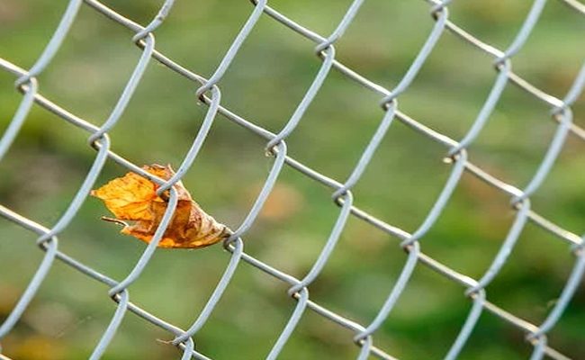 The Best Reasons to Get a Chain Link Fence