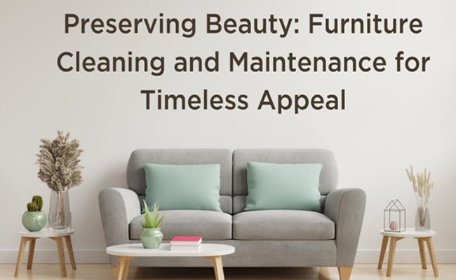 Preserving Beauty: Furniture Cleaning and Maintenance for Timeless Appeal