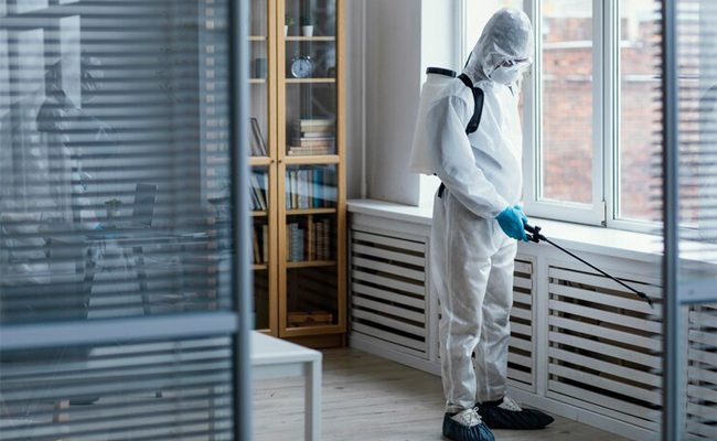 Things to Be Aware of When Hiring Pest Management Services