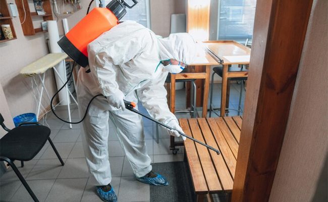 Professional Pest Control and Disinfecting Services for Hotels