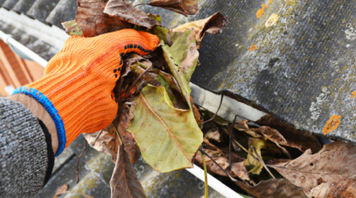 Why It's Important to Keep Your Home's Gutters Clean