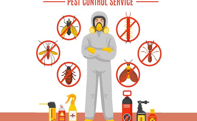 residential pest control solutions