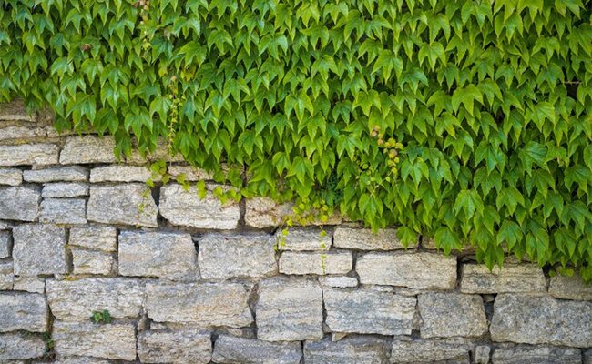 Maximize Your Curb Appeal with a Well-Designed Driveway Retaining Wall