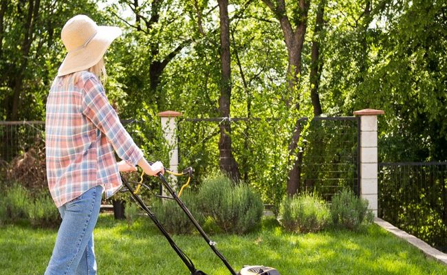 Lawn Care 101: A Beginner’s Guide to Cultivating a Beautiful Yard