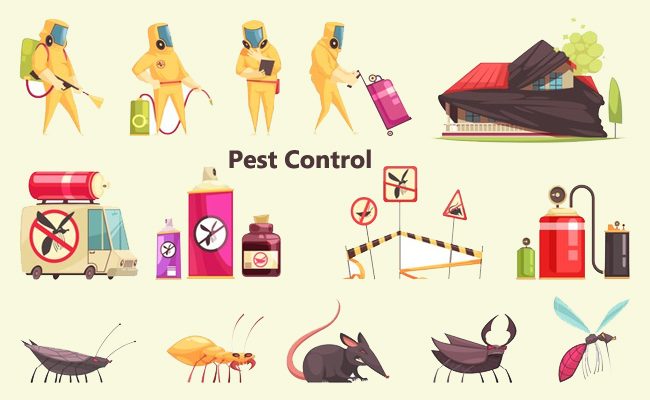 Mastering Pest Control: Safeguarding Your Home and Health